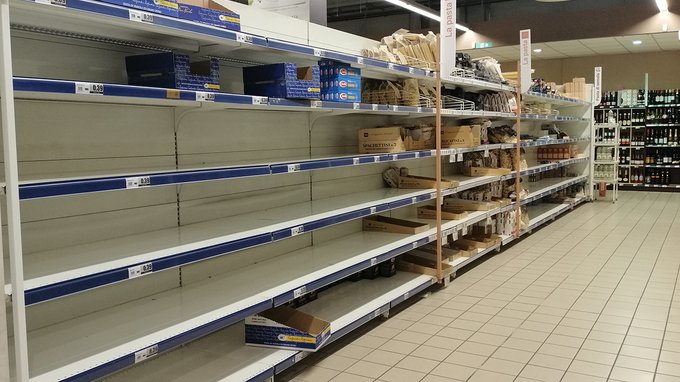 L'olio di colza è la soluzione alla crisi secondo Nestlé: ma è davvero salutare?
