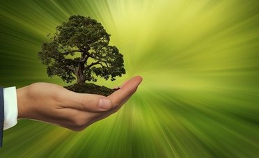 Sostenibilità, perché i fondi ESG piacciono così tanto ai più ricchi del mondo?