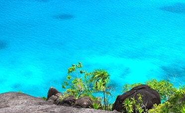 Lavoro dei sogni alle Seychelles con alloggio gratuito. Cercano guide per un'isola privata