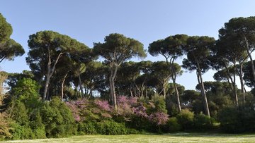Coronavirus, parchi e ville chiusi a Roma: verso l'ordinanza