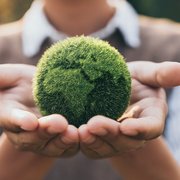CBAM, la transizione verde arriva in dogana