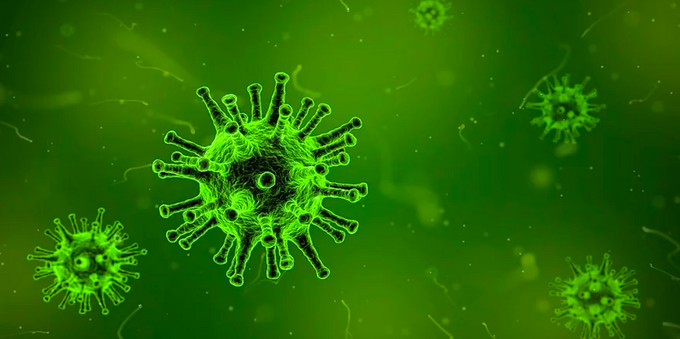 I virus più pericolosi e letali del mondo 