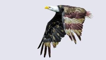 Gli Stati Uniti costruiranno una nuova base navale in un Paese latinoamericano. Spenderanno più di $1 miliardo