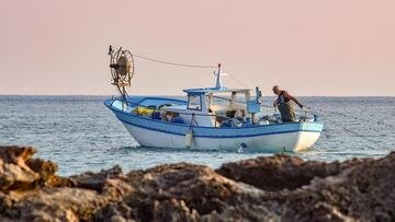 Pesce fresco non italiano, Coldiretti lancia l'allarme: ecco quali sono i rischi più comuni