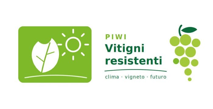 Vitigni resistenti e ibridi PIWI. Il futuro (internazionale) del vino nell'era del climate change