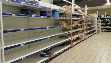 L'olio di colza è la soluzione alla crisi secondo Nestlé: ma è davvero salutare?