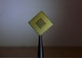  Il più grande produttore di chip russo registra un crollo degli utili del 98%