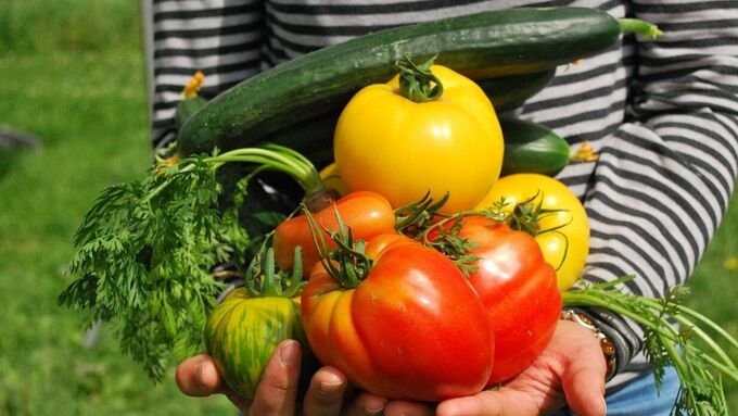 Frutta e verdura contaminata: quali alimenti contengono più pesticidi