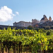 Lazio, terra di rinascite: i vitigni autoctoni che stanno cambiando il volto del vino regionale