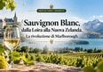 Sauvignon Blanc, dalla Loira alla Nuova Zelanda. La rivoluzione di Marlborough