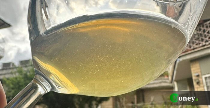 Cinque vini italiani da assaggiare almeno una volta nella vita