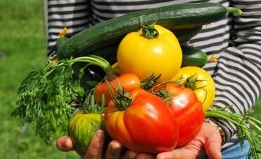 Agevolazioni fiscali agricoltura, novità dal 2026