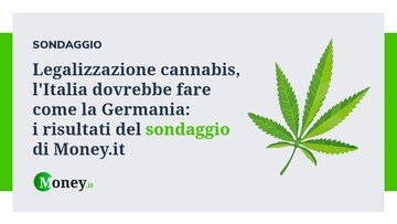 Legalizzazione cannabis, l'Italia dovrebbe fare come la Germania: i risultati del sondaggio