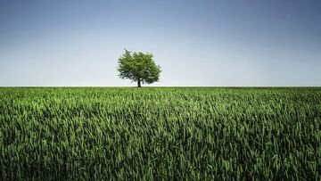 Cosa può vendere e produrre un'azienda agricola