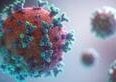 Hantavirus: il costo dell'incertezza. Quali potrebbero essere gli impatti di questo focolaio sull'economia mondiale?