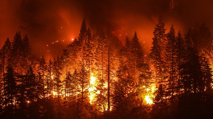 Caldo record e incendi: l'Europa sta andando a fuoco