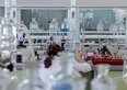Covid: tre farmaci per la cura in arrivo entro l'anno, si spera in Regeneron