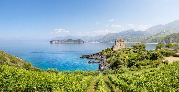 Calabria del vino: i vitigni autoctoni che raccontano la Magna Grecia