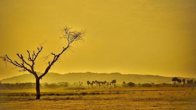 Eco ansia, l'ansia per il cambiamento climatico: cos'è e quali sono i sintomi