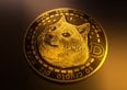 Le 10 criptovalute più strane e “stupide” mai create
