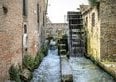 Questo giardino botanico è il più antico del mondo ed è a 3 ore da Milano
