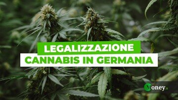 La cannabis salverà la Germania? Da aprile sarà legale