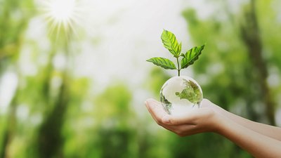 10 idee per essere più sostenibili, risparmiare soldi e proteggere l'ambiente