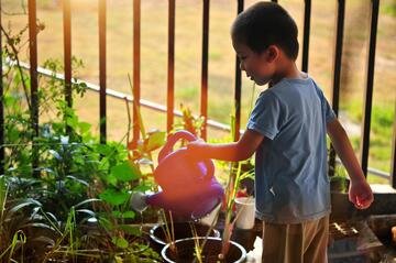 Metodo Montessori in breve: cos'è, principi ed esempi