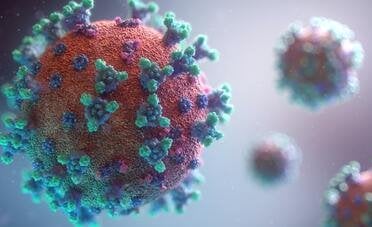Hantavirus: il costo dell'incertezza. Quali potrebbero essere gli impatti di questo focolaio sull'economia mondiale?