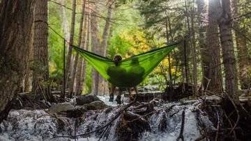 Due ore a contatto con la natura rendono più felici e sani. Lo studio