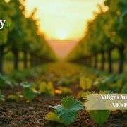 I vitigni autoctoni del Veneto. Identità, tradizione e vini che raccontano il territorio nel mondo