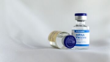 L'efficacia del vaccino di Pfizer scende sotto il 50% dopo 6 mesi: il nuovo studio