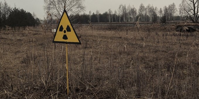 Chernobyl, un fungo cresciuto nel disastro potrebbe permettere i viaggi su Marte