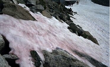 Escursionista condannato a pagare 4.400 euro per il salvataggio in elicottero