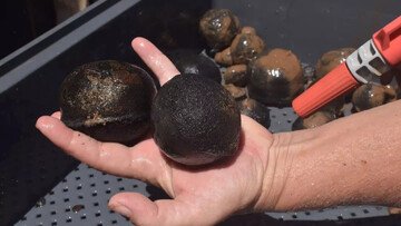 Diamanti «insanguinati» scoperti nell'oceano, presto ne saranno estratte decine di tonnellate