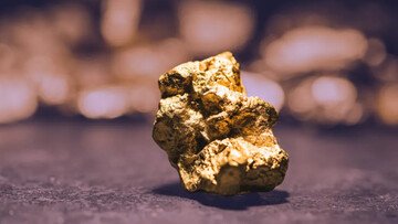 Trovano una pepita d'oro da 4 chili e la vendono a un prezzo record