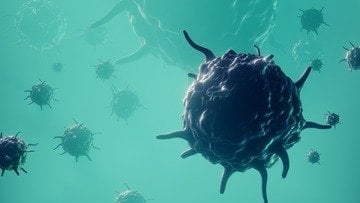 Hantavirus in Italia, ecco le indicazioni del ministero della Salute
