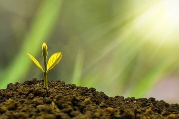 Bonus agricoltura 2026, ultimi giorni per accedere. Ecco come presentare la domanda