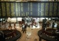 11 titoli a Piazza Affari con dividendo superiore al 5%