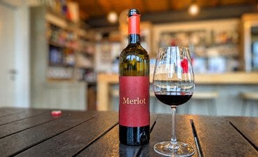 Il Merlot, il fratello «morbido» del Cabernet. Perché il vitigno più diffuso al mondo è anche il più incompreso