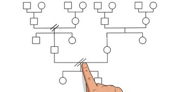 Parenti di primo e secondo grado, chi sono?