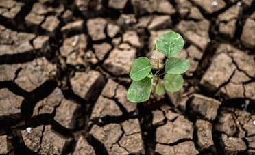 Cambiamento climatico, tutte le conseguenze per il mondo del lavoro