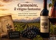 Carmenère, il vitigno fantasma: come il Cile ha «resuscitato» un'uva che si credeva estinta