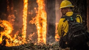 Come aiutare Oristano: le raccolte fondi attive e come donare