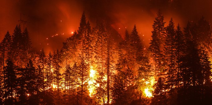 Caldo record e incendi: l'Europa sta andando a fuoco