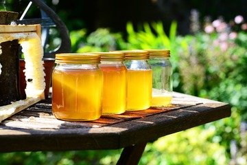 Miele, occhio alle truffe: quali sono i marchi che non dicono la verità