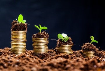 I migliori investimenti sostenibili