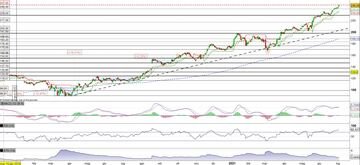 Target in rally