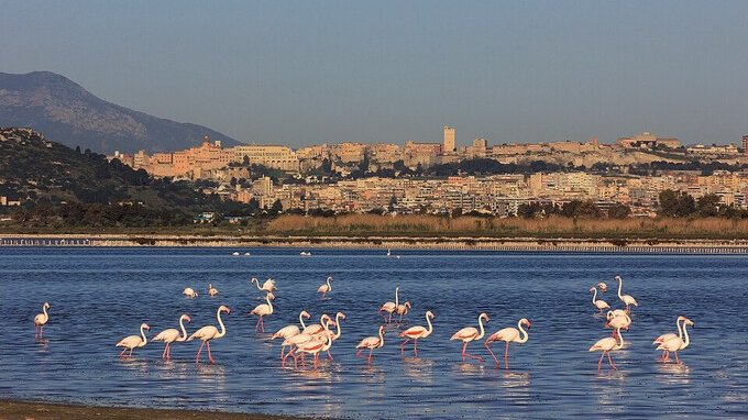 Top 10 aziende di Cagliari per fatturato, un'economia fortemente orientata ai servizi