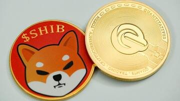 Cos'è Shiba Inu e come comprare la crypto di cui tutti parlano